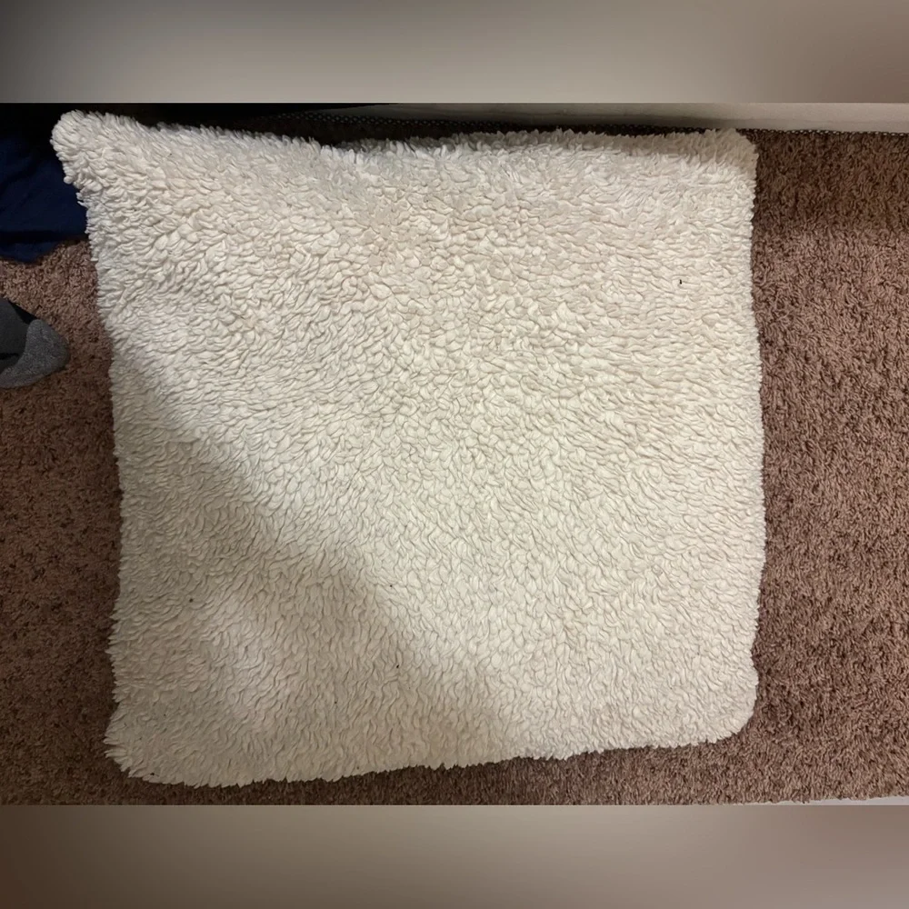 Pottery barn pillow case